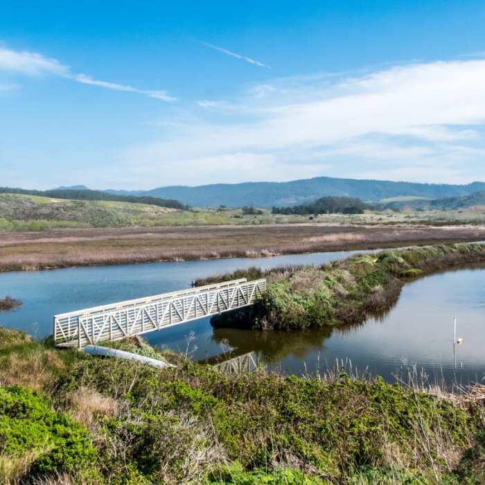Near Pescadero Marsh Natural Preserve