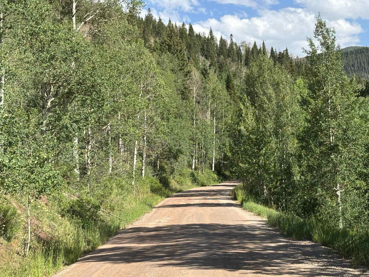 East Brush Creek Road photo 6