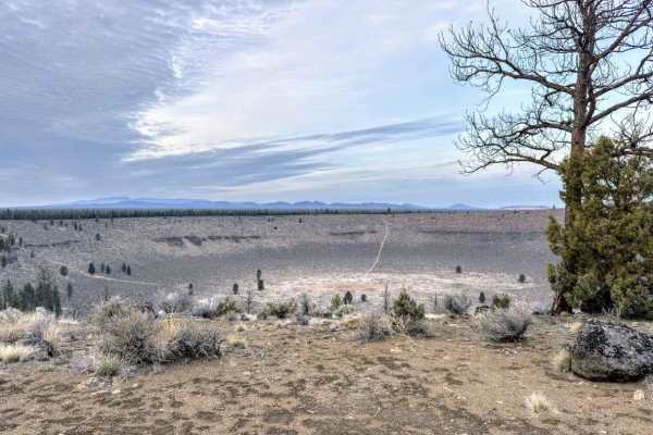 Hole in the Ground Loop - FS 3130