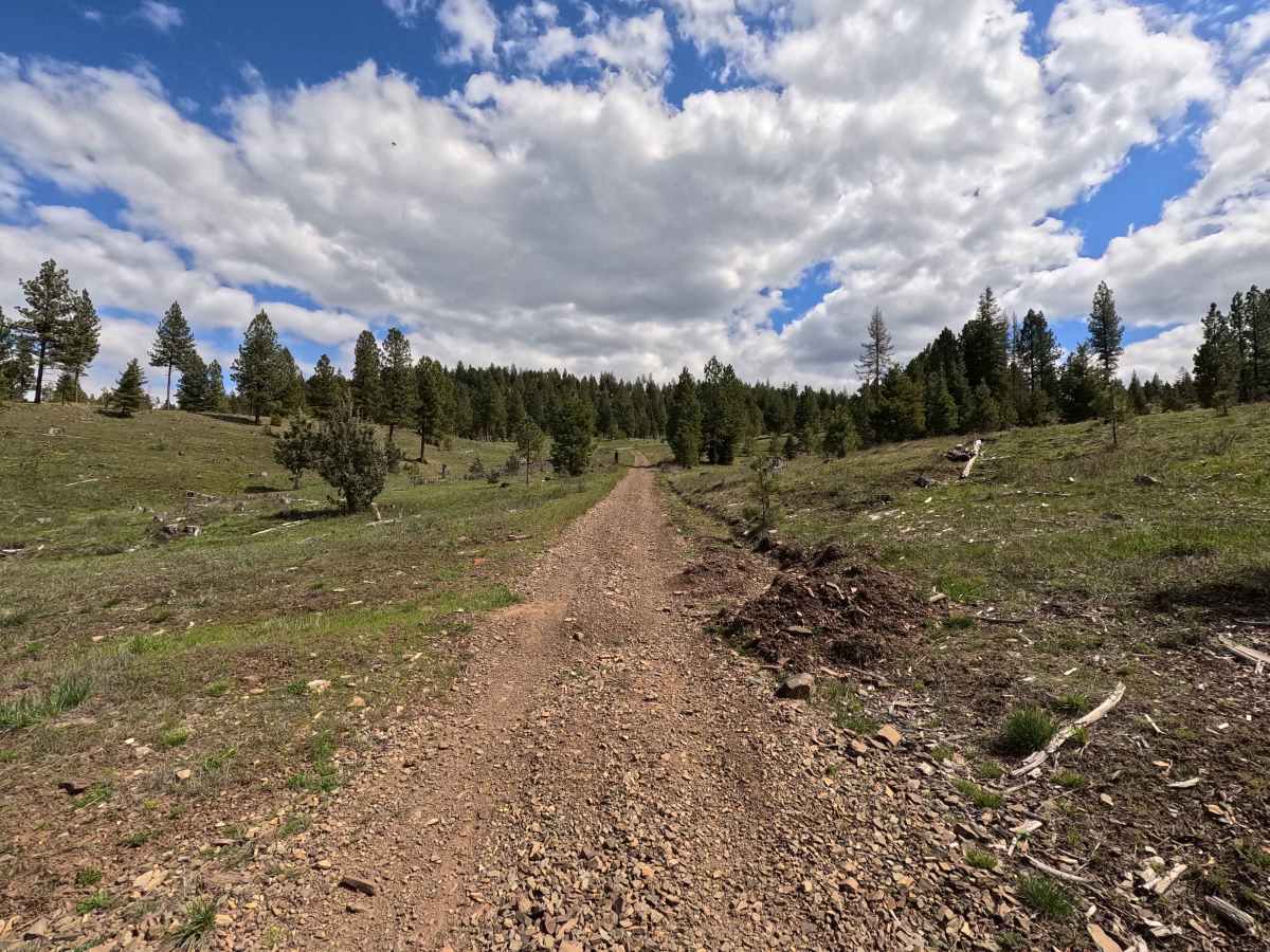 Trail G3 photo 4