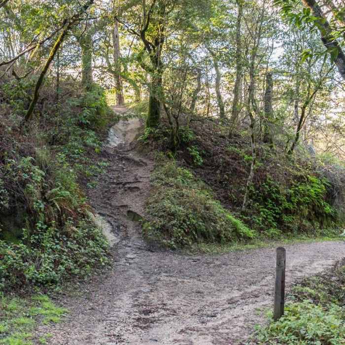 Near Enchanted Trail Hike