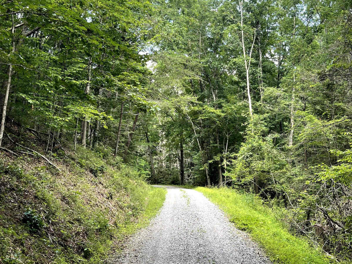 Bear Creek photo 6