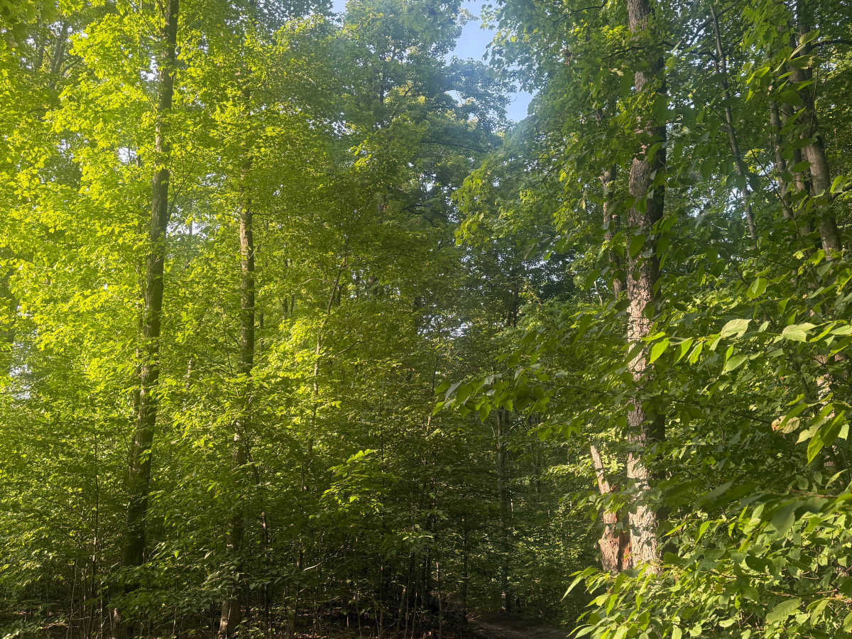 N 3 Trail photo 5