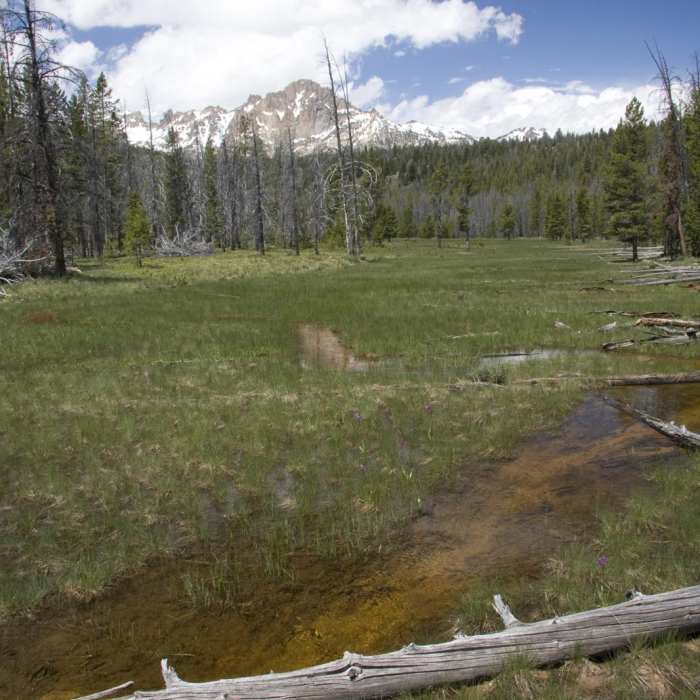 Near Bull Moose Creek