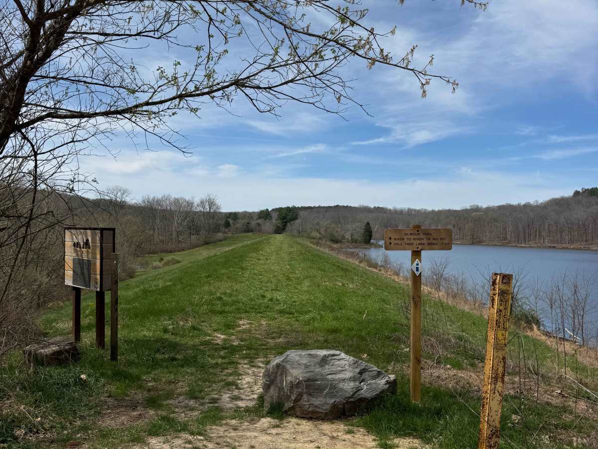 Dutchman Lake Trail photo 4