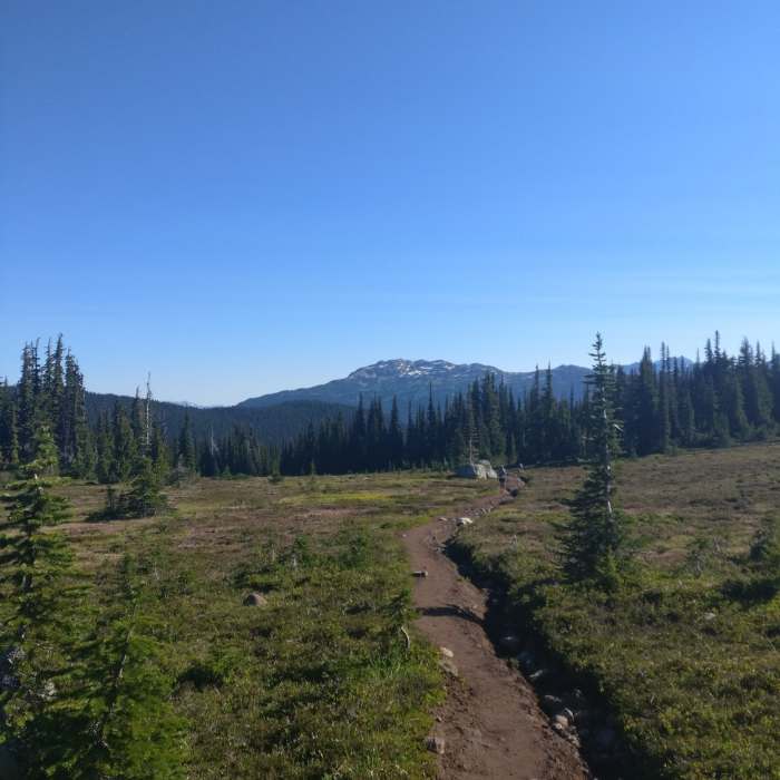 Near Panorama Ridge from Cheakamus Lake