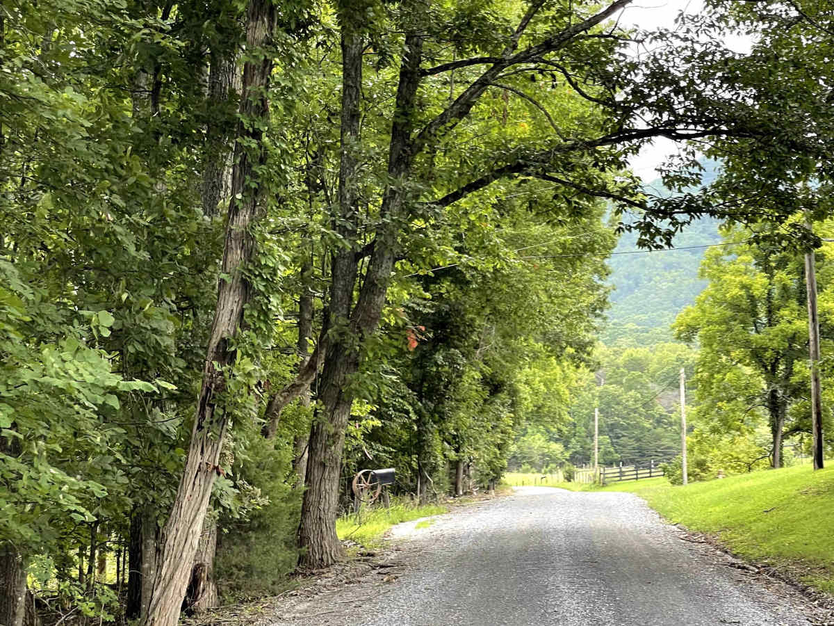 Blue Grass Trail photo 4