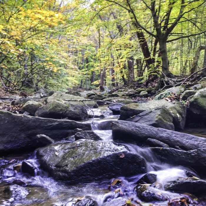 Near Lower Susquehanna Heritage Greenway Trail