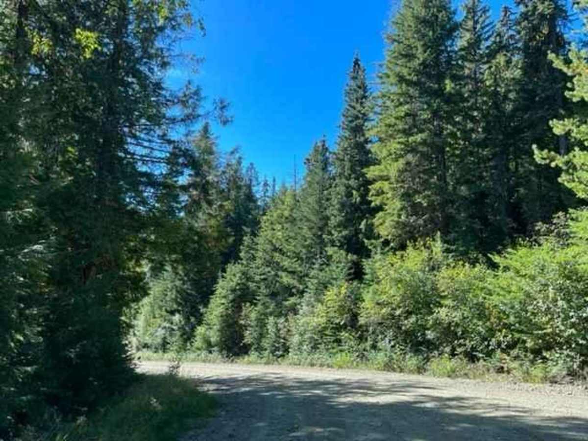 Barriere Lake Road trail photo