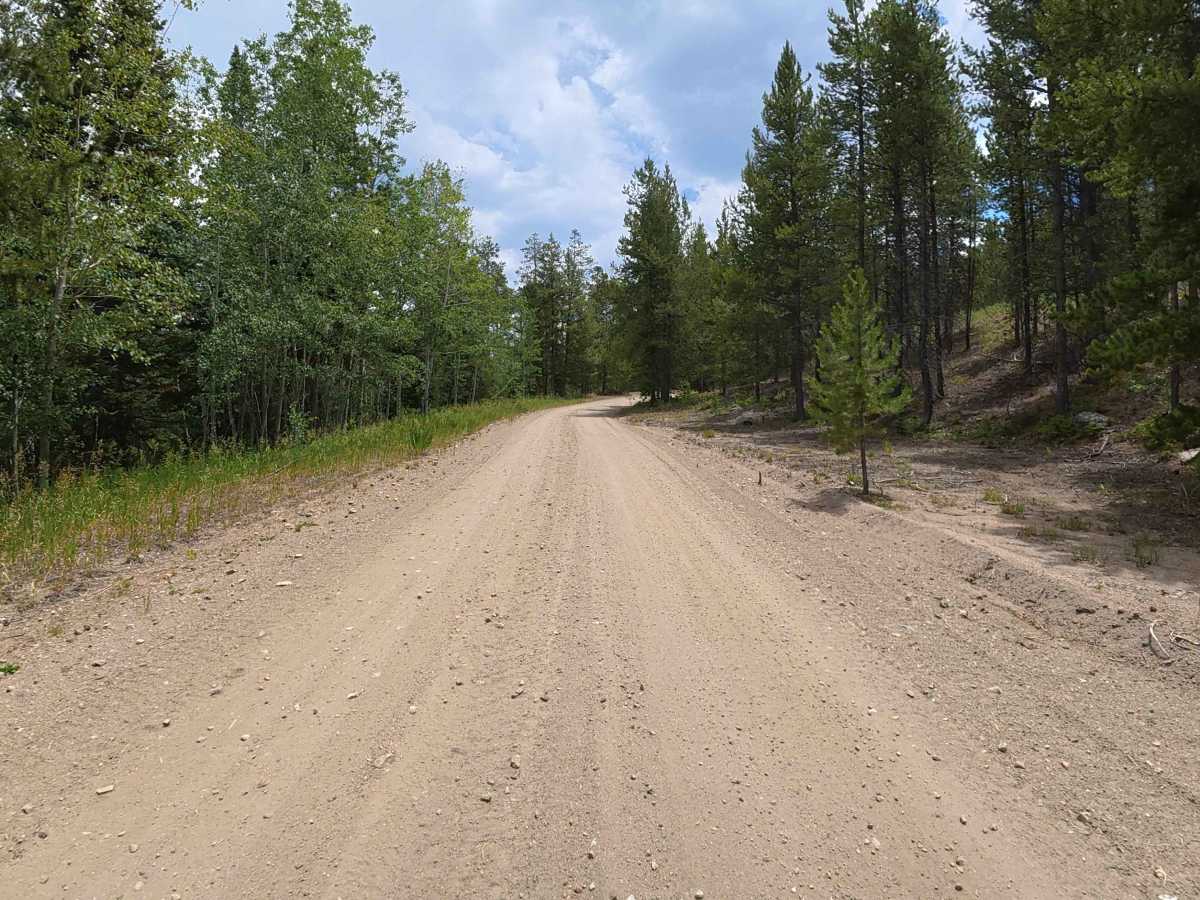 Spruce Divide Road - FS 275 photo 2