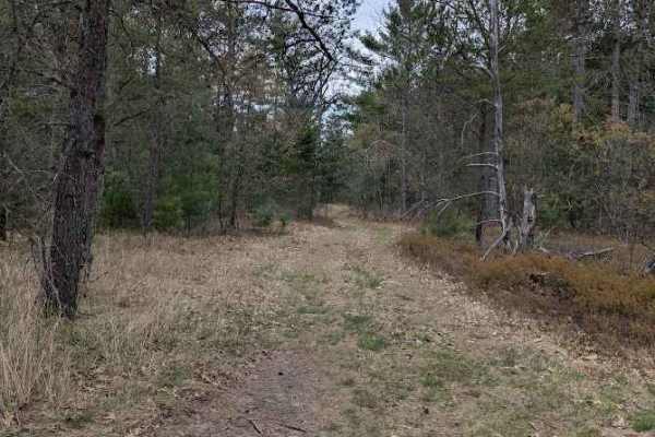 Reserve Loop