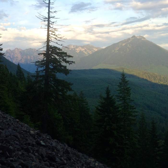 Near Talus Loop Trail
