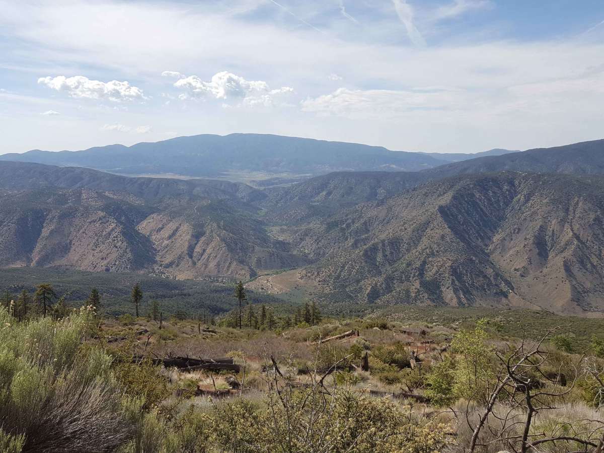 Alamo Mountain OHV - FS 8N01.3 trail photo