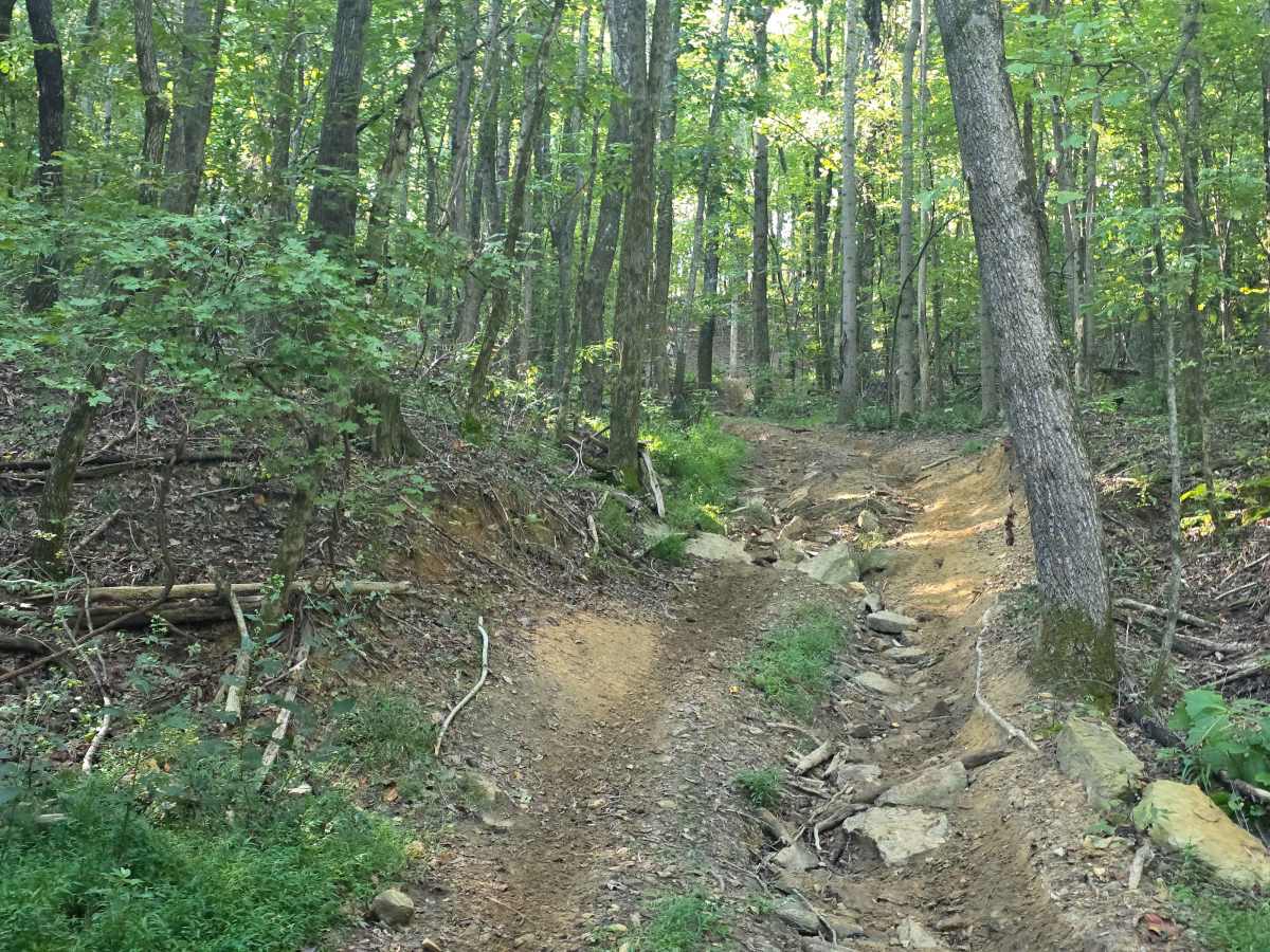 Jason's Trail trail photo