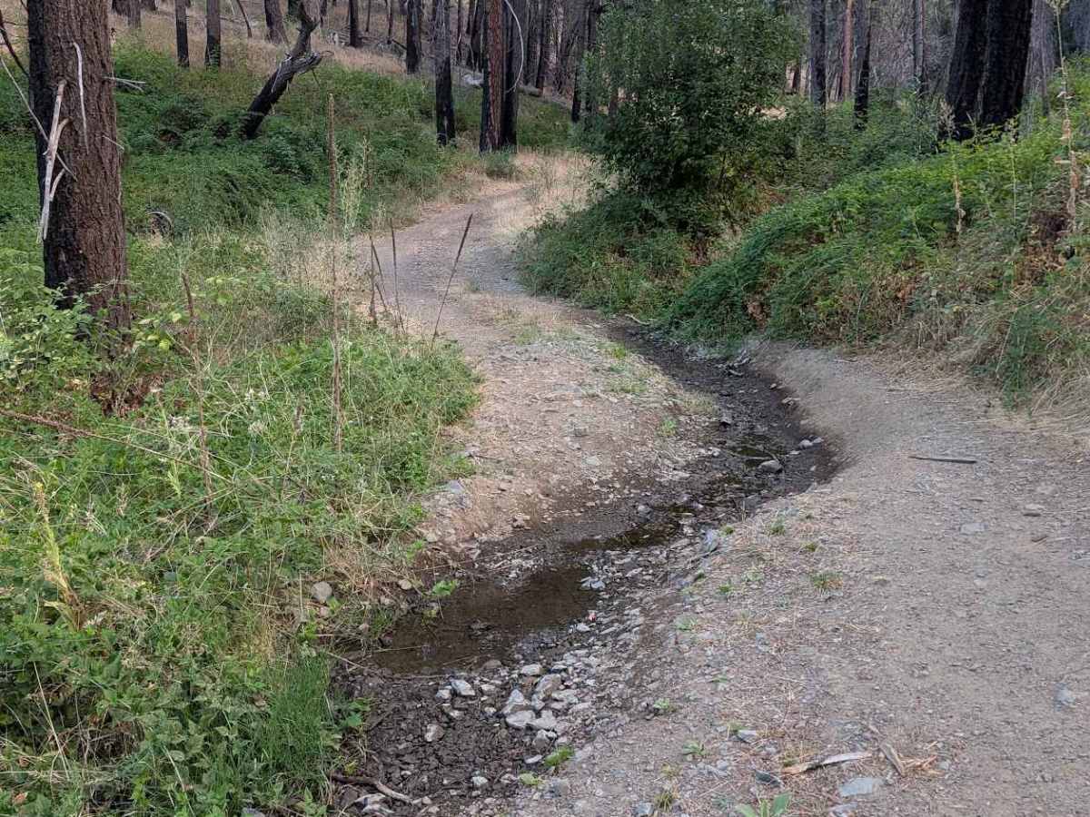 Lucky Jeep Trail - FS 31N50  photo 5