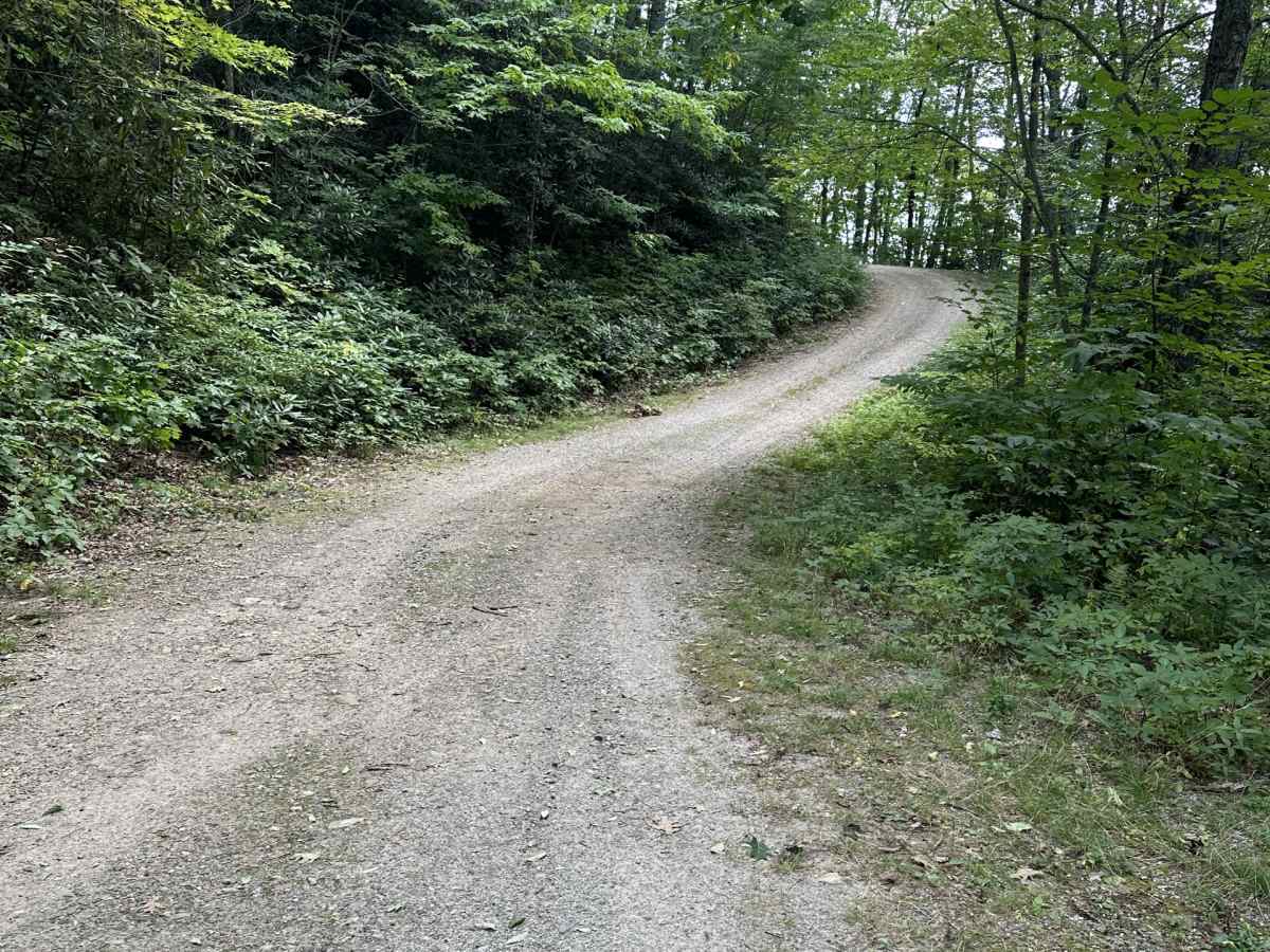 Cold Spring Gap Road trail photo