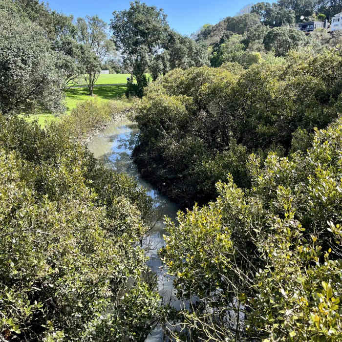 Near Cox's Bay Reserve Loop Near Cox's Bay Reserve Loop