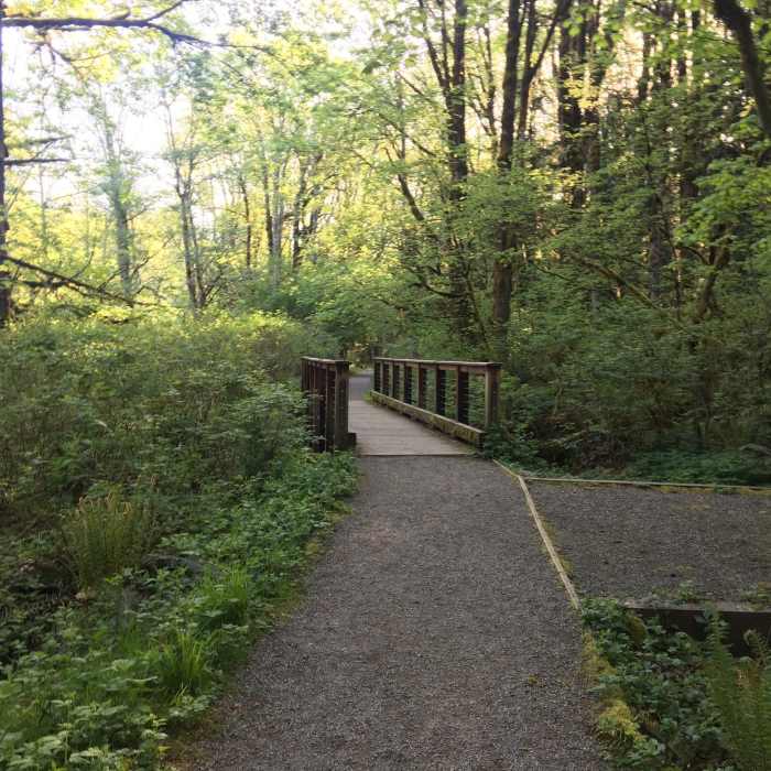 Near West Tiger 3 Trail