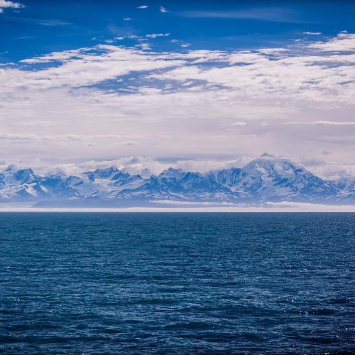 Glacier Bay National Park and Preserve, Alaska, USA Near Point Gustavus