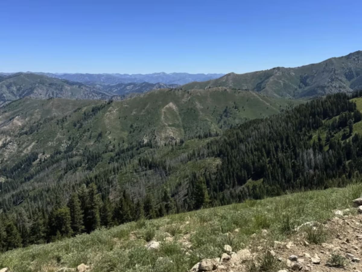 Blue Ridge - FS 7048 photo 6