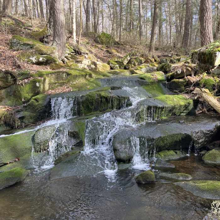 Near Falls Brook Trail