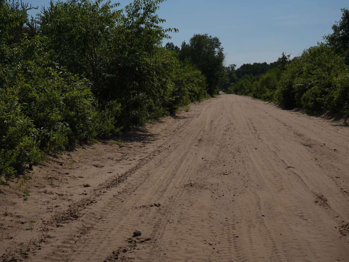 Mosquito Alley Truck Trail photo 6