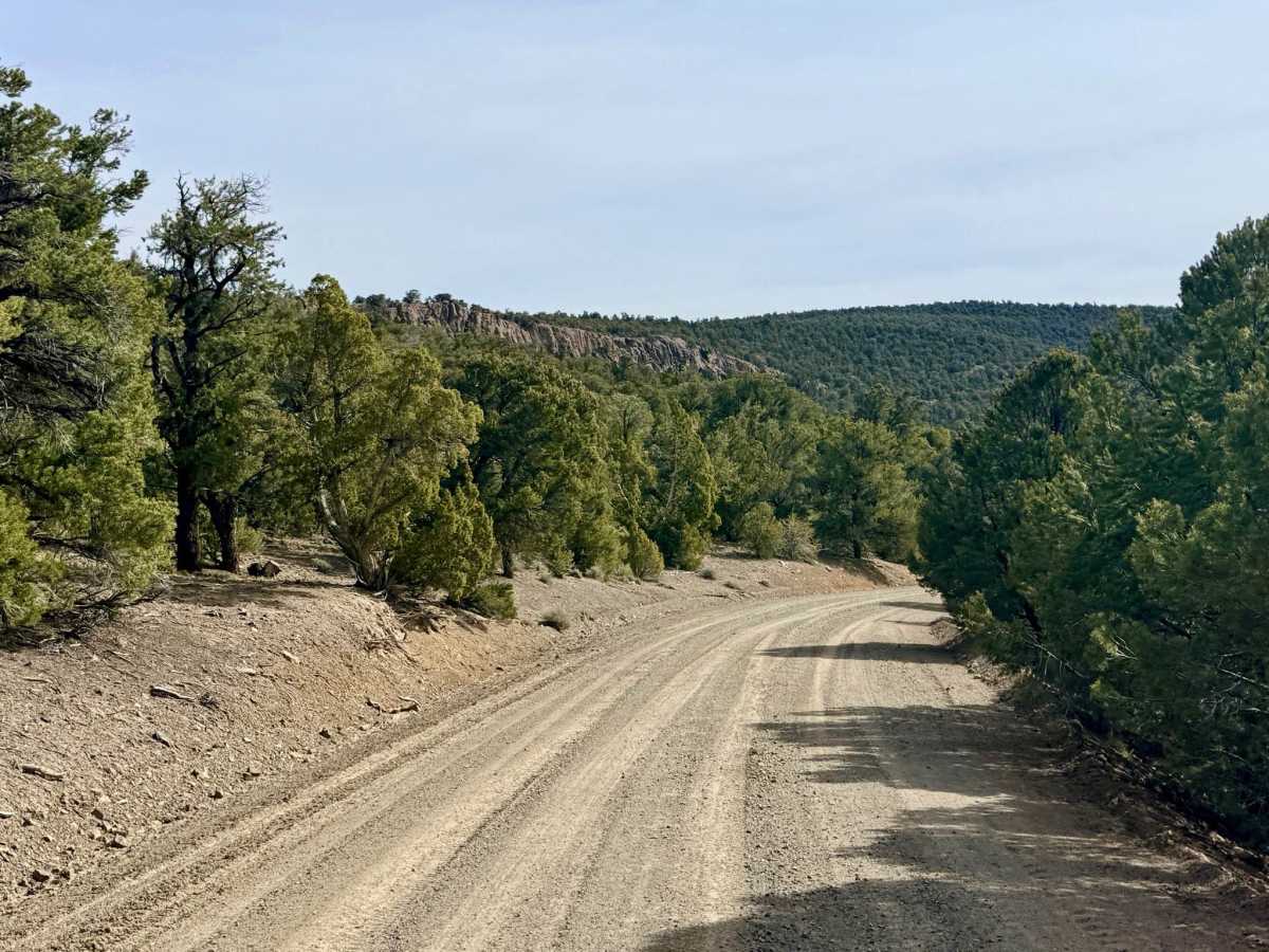 Pete’s Summit Road - FS 43001 photo 6