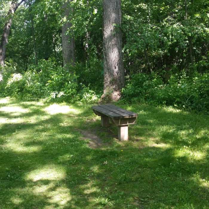 Shady section of the South Loop Trail. Near South Hiking Loop
