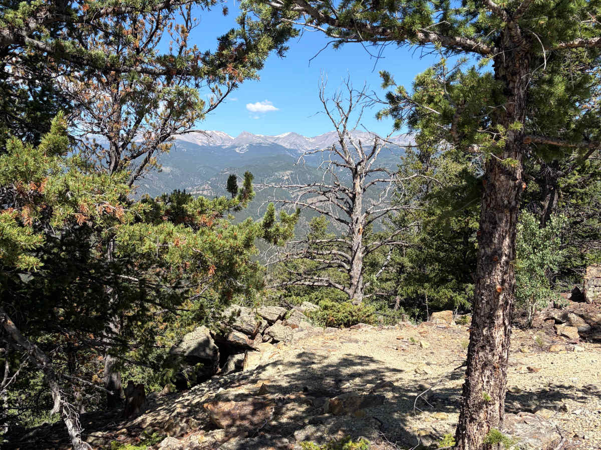 Bellevue Mountain Drive photo 5