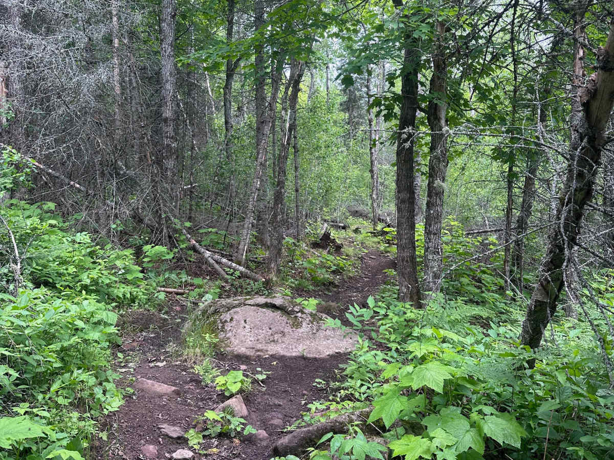 Alger Grade - Trail 2 photo 3