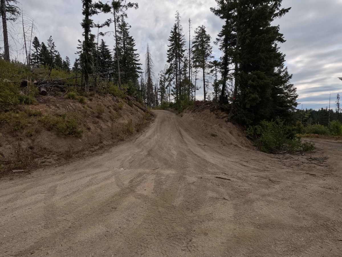 FS 1137 trail photo