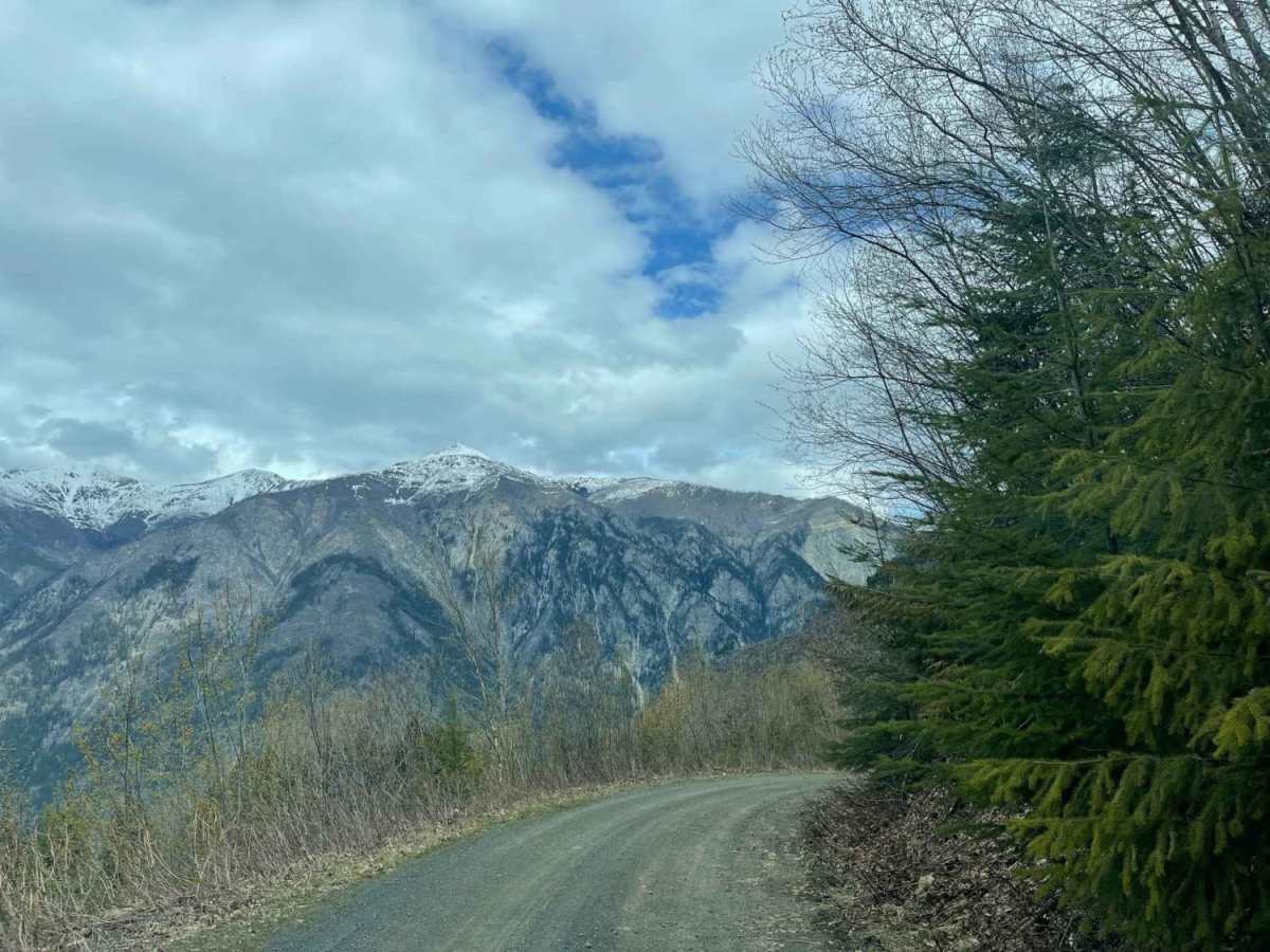 Sandy Point Road photo 3