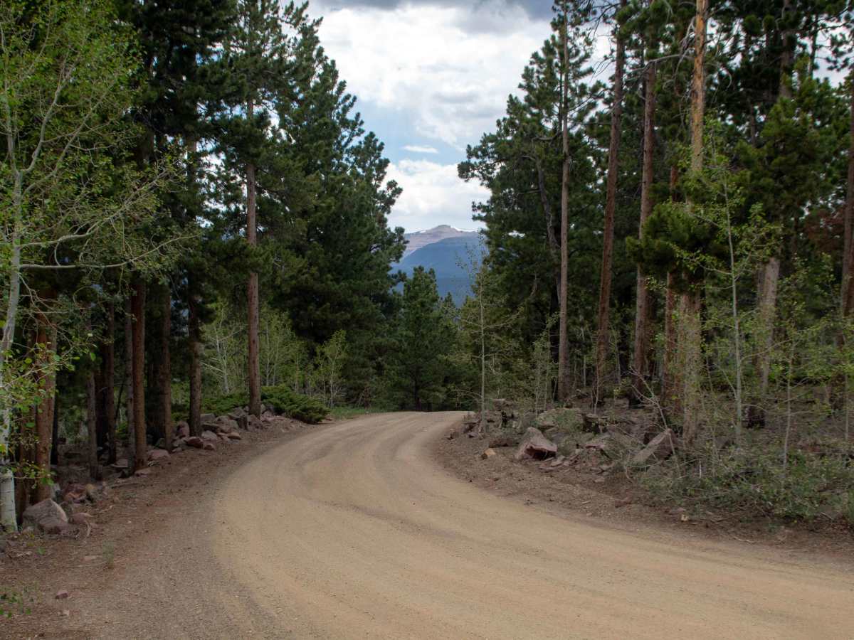 Ute Mountain Lookout - FS 10005 photo 3