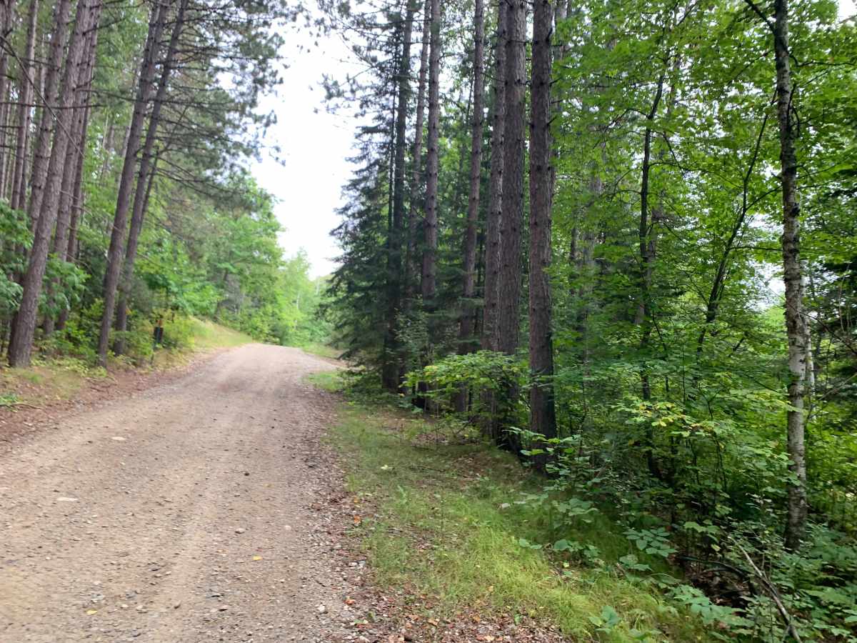 Graham Trail photo 4