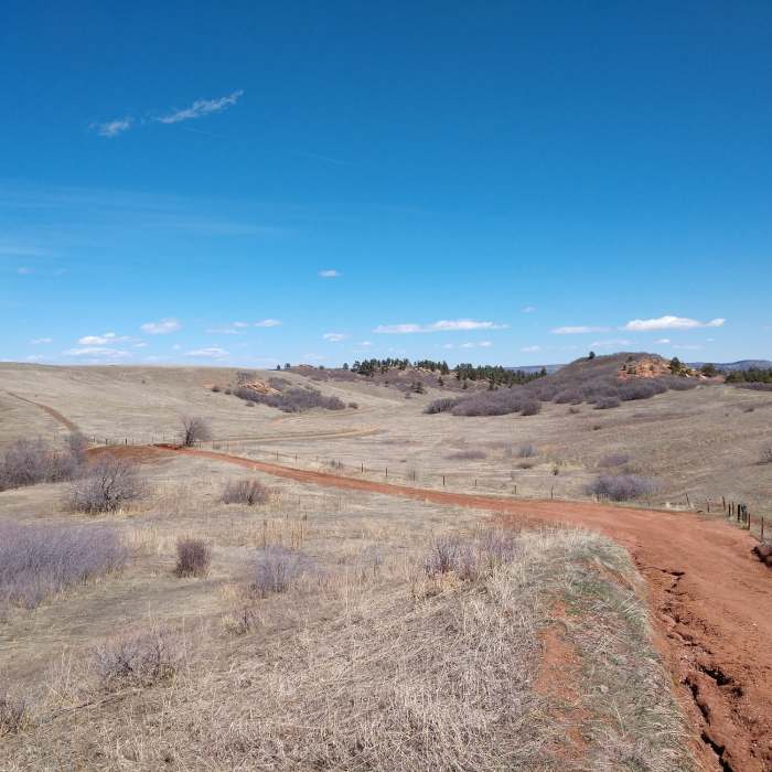 End of Sharptail Ridge Trail and start of Swallowtail Trail on County Road 5. Near County Road 5
