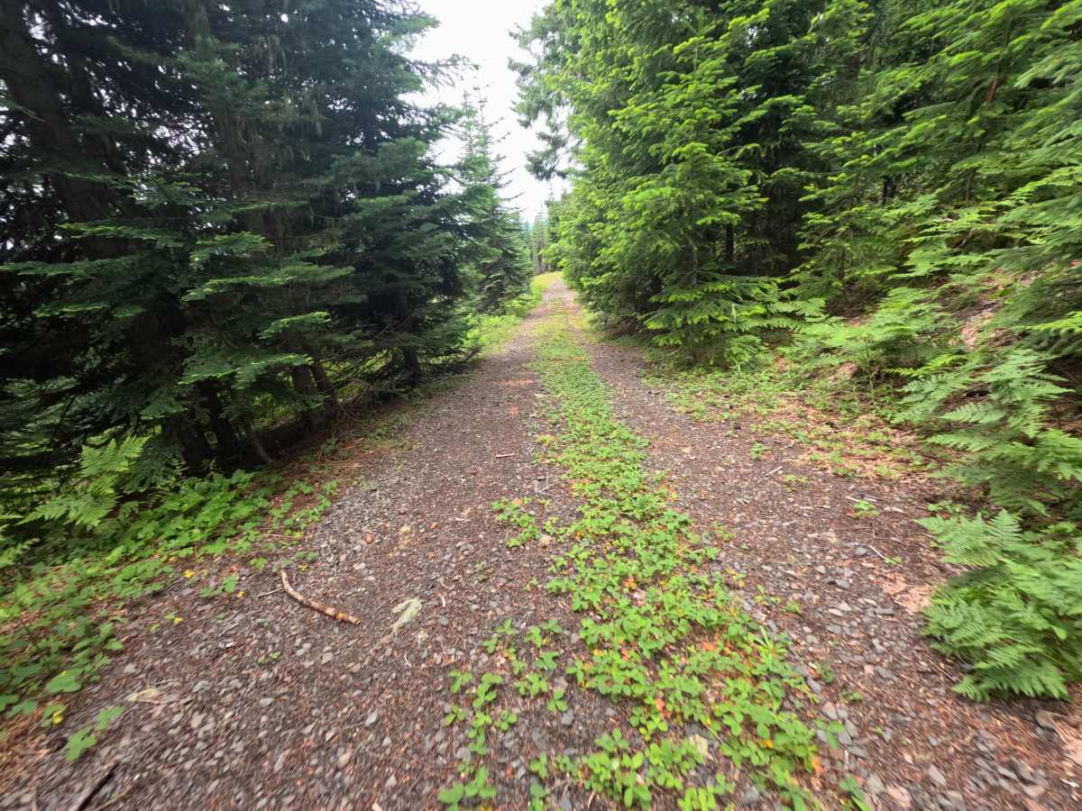FS 9091025 trail photo