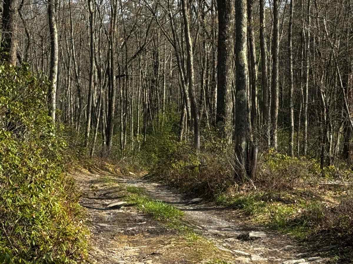 Dishpan Hollow Road photo 5