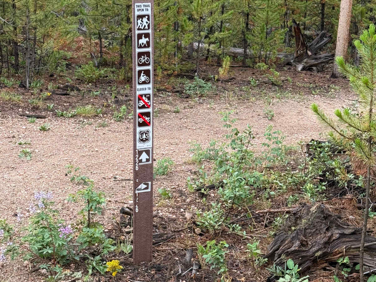 Snyder Creek Loop photo 2