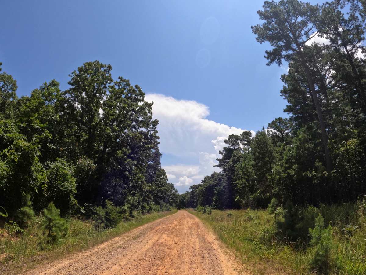 Rich Mountain Byway trail photo