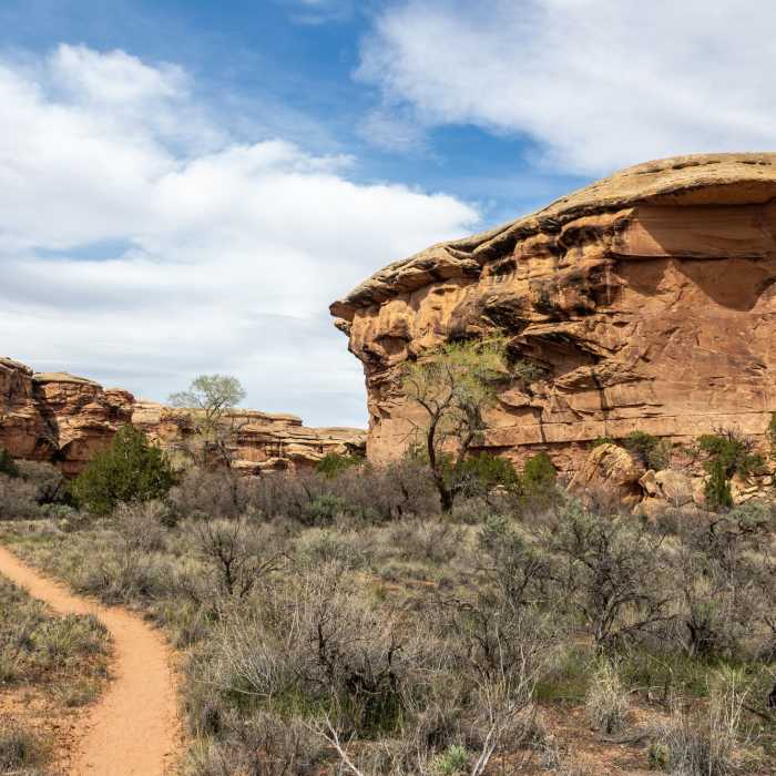 Near Lost Canyon Trail