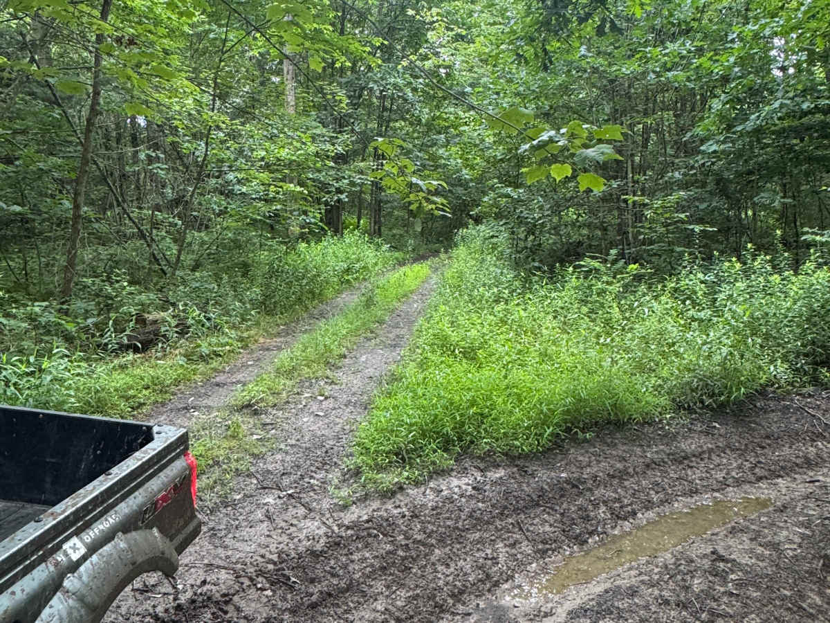 Trail 5 photo 5