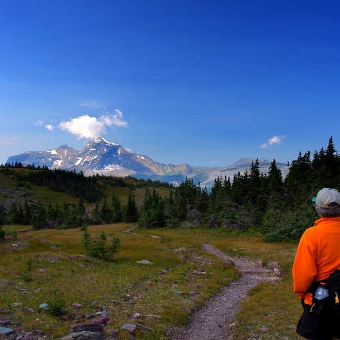 Near Swiftcurrent Lookout