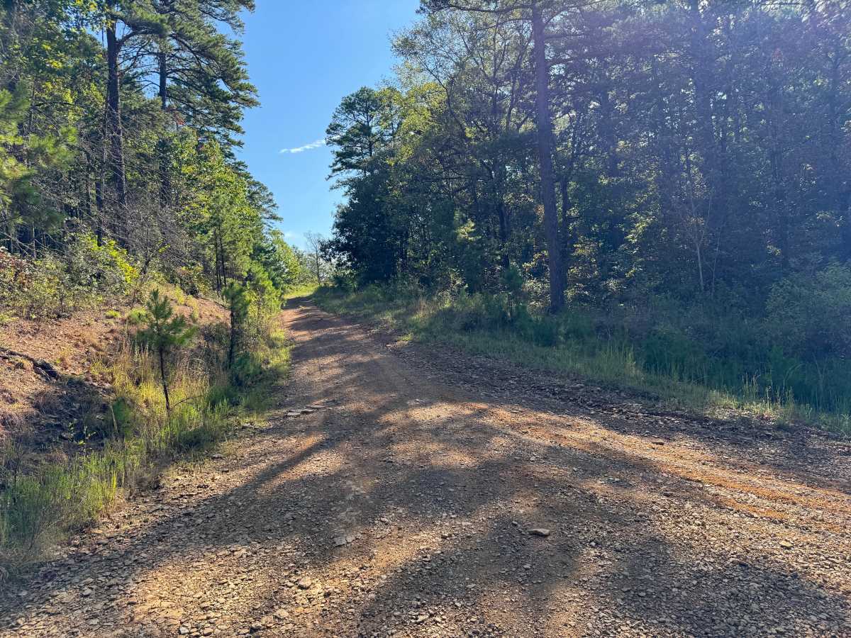 FS 1630A trail photo