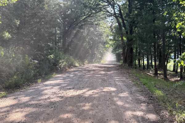Black Fork Trail