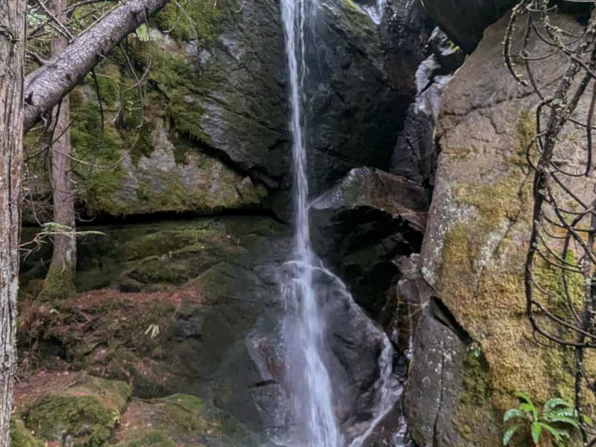 Lochsa Down River trail photo