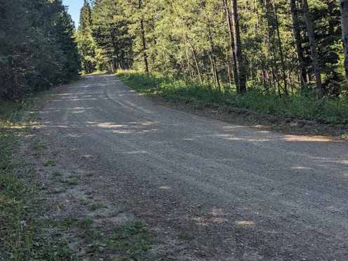 Heath Creek Road photo 2