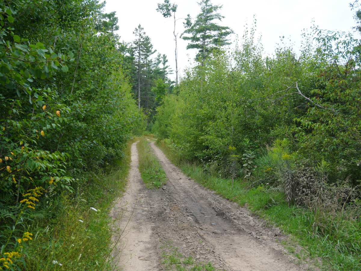 Lost Cabin Trail photo 2