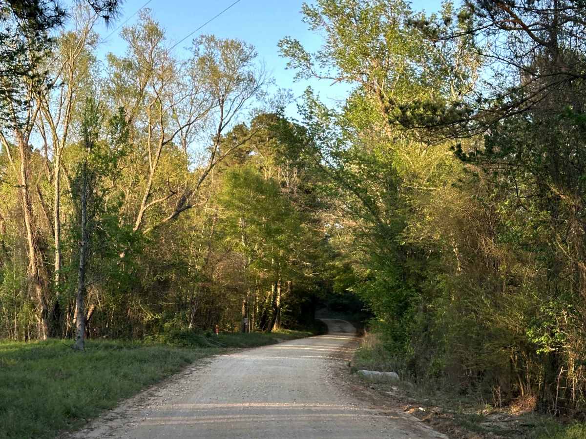 County Road 1190 photo 3