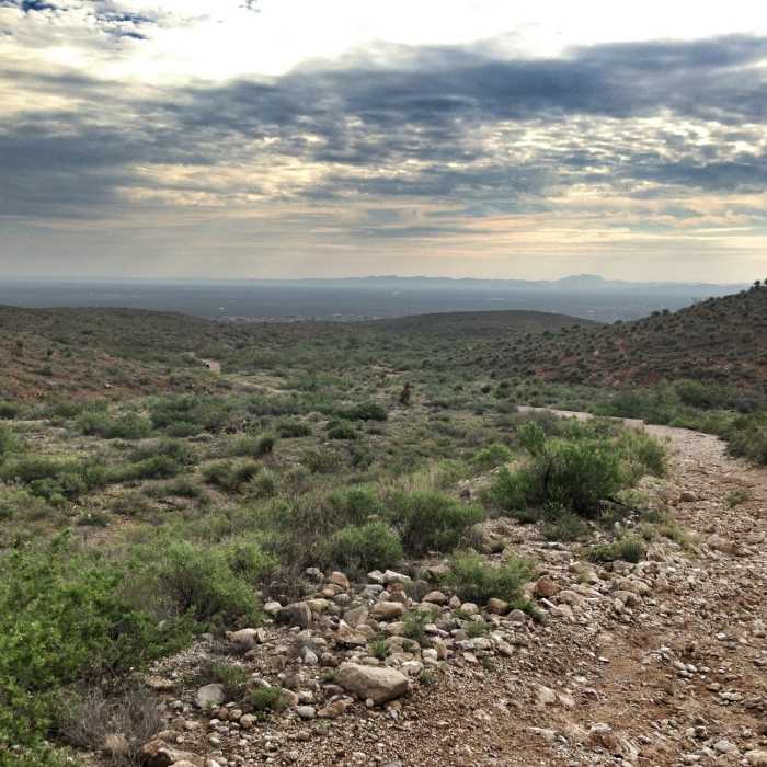 Near Old Tin Mine Road