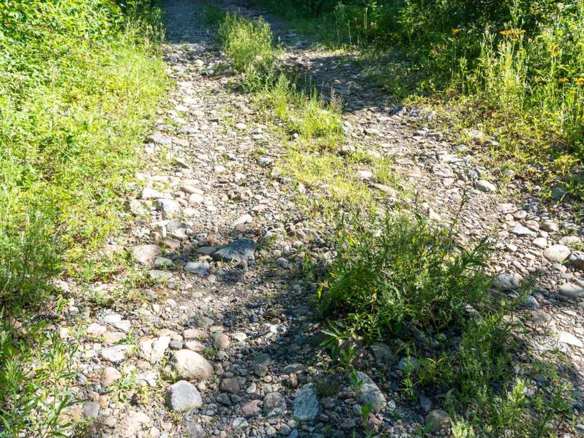 Robbs Creek Road photo 5